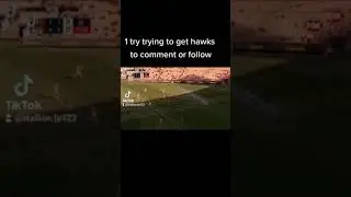 tiktok afl