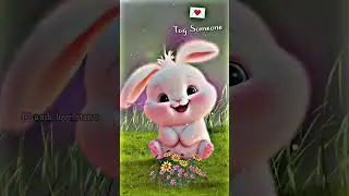 Mera teddy bear tu .. || WhatsApp Status Video || Arjit Singh || #trending #shorts