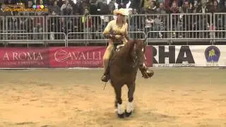 CIRA BAECK-  SHINE N WHIZ - CHANAY SKY