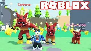 My Favorite Rebirth Starting Squad In Roblox Collect All Pets!
