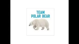 Craft Activity: Make Your Own Polar Bear Ears
