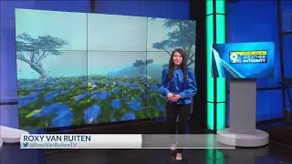 Roxy's Monday Forecast: Don't forget those umbrellas this week!