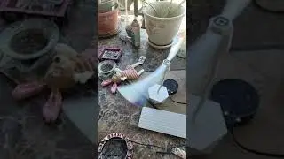 chemotex Fly Fan for Tables Fly Fan Keep Flies Away Fly Repellent Review, These things work fly fans