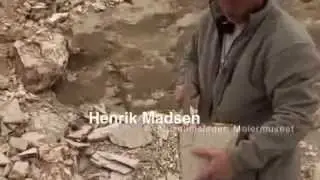 Molerfilm