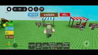 FIREWORK FERN IN STOCK December 30th, 2025 11:10 AM