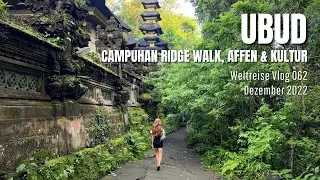 Ubud - Campuhan Ridge Walk, Affen & Kultur | Bali, Indonesien • Weltreise Vlog 062