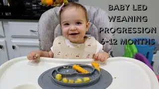 BABY LED WEANING (BLW) PROGRESSION: 6-12 Months!