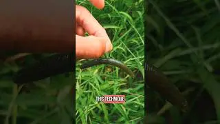 The Easiest Rig to Catch Bass (Wacky Rig How-To)#BassFishing #WackyRig #Fishing #FishingForBeginners
