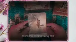 Jan 12 2026 Oracle Card Reading