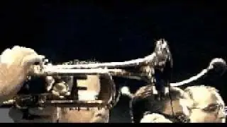 Mardi Gras.BB - Down Down Down