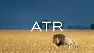Africa Travel Resource Showreel - Plug & Play