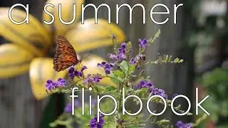 A Summer Flipbook