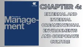 OpenStax Principles of Management (Audiobook) - Chapter 4: External & Internal Organiz. Environments