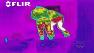 Ghost Hunters International S02E23 Amsterdamned