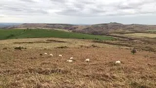 View from Chinkwell Tor whilst social distancing