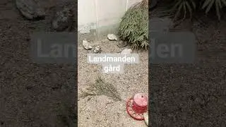 dette er jobben min mandag, tirsdag, og onsdag