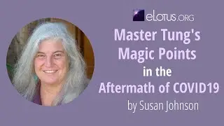 Master Tung's Magic Points In the Aftermath of COVID19