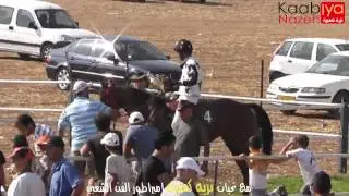 سباق الغريفات الخامس للخيول العربية 17.8.2012