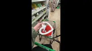 Dollar Tree Tuesday Haul 🎉 Budget Finds & Shopping Fun #DollarTree #ShoppingHaul