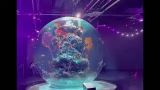 ASMR【神戸　デジタルアート　アトア　AQUA TERRA アトアテラ　】一分