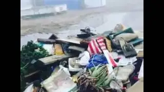 Junk Removal
