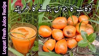 Loquat Fresh Juice by Arain Kitchen | Loquat Juice | لوکاٹ جوس بنانے کا طریقہ | Loquat Sharbat