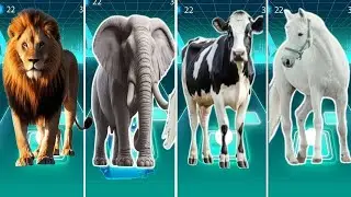🐃Забавный буйвол 🆚🦁Забавный лев 🆚🐘Забавный слон 🆚🐎Забавная лошадь 🎶 Песня «Танец гроба» Tiles Hop...