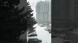 Slow winter day #lofi #chill #canada #toronto #lifeincanada #weather