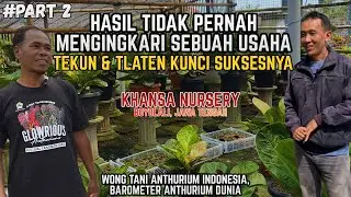 KUNCI SUKSES BERTANI ANTHURIUM | ULET, TEKUN, & TLATEN | KHANSA NURSERY BOYOLALI