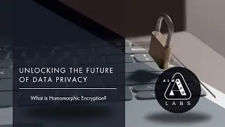 What is Fully Homomorphic Encryption