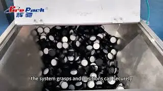 Fully Automatic Rotary Disk Capping Machine | High-Speed Sealing for Bottles & Jars