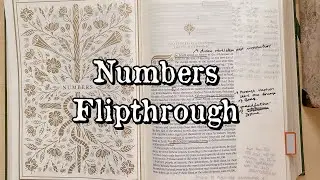 Bible Journaling Flip Through: Numbers (in the ESV Illuminated Journaling Bible)