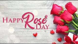 Happy Rose Day 2020: Wishes,WhatsApp Messages,Greetings,Images,Romantic Quotes||Happy Valentines Day