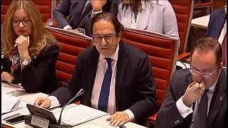 Comisión de Investigación sobre la financiación de los partidos políticos.en el senado 