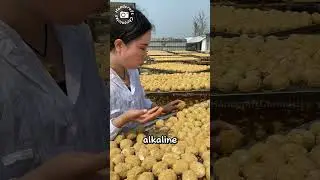 Как столетние яйца приобретают свой уникальный вкус!