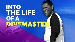 Into the life of a divemaster
