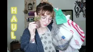 Совместный сбор! Target, AC Moore, Dollar Store, Lush PLANTS