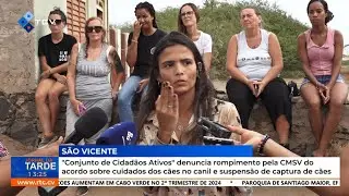 Conjunto de Cidad&atilde;os Ativos denuncia rompimento pela CMSV do acordo sobre cuidados dos c&atilde;es no canil