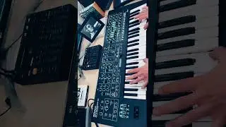 Roland SYSTEM-8 - Sound Demo🎹 #roland #synth #demo
