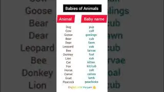 Animals and their Babies Names#English Vocabulary #English with Maryam