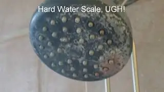 Hard Water Removal from your Shower Head