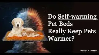 Do Self warming Pet Beds Really Keep Pets Warmer