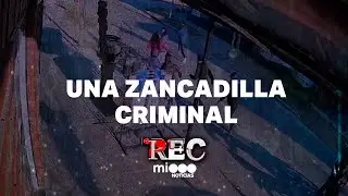 UNA ZANCADILLA CRIMINAL - DROGA EN UN MÓVIL POLICIAL - #REC
