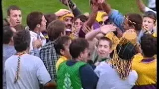 All Ireland Hurling Final 1996 (7 of 8)