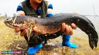 CON CÁ TO NHẤT • Thi Câu Lure • P3 @HOABANCAMP