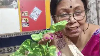180 rupees r mony plant.4 meesho#assam #northeast #india