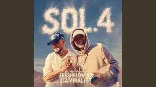 Sol.4
