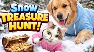 Snow Treasure Hunt ❄️🐱 | Funny AI Video Cat Adventure | Meow Meow Cat Story