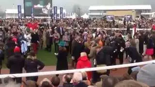 Coneygree and many photographers at Cheltenham !