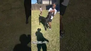 Призрак играет с детьми #dreeandghost #canecorso #texas